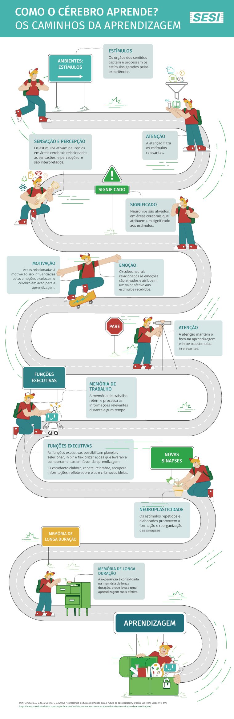 Os caminhos da aprendizagem: como o cérebro funciona? - Rede Nacional de  Ciência para a Educação (Rede CpE), image size:760x2335