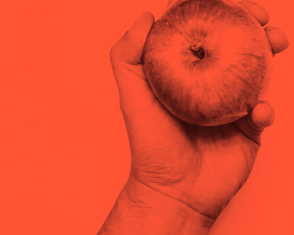 Documento temático 01 – Fatores fisiológicos que influem sobre a educação