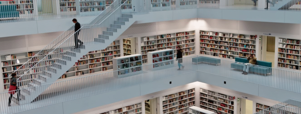 Bolsas em ciência para educação