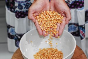 Fome e desnutrição: uma ameaça às novas gerações