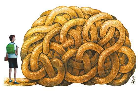 Ciências para a educação