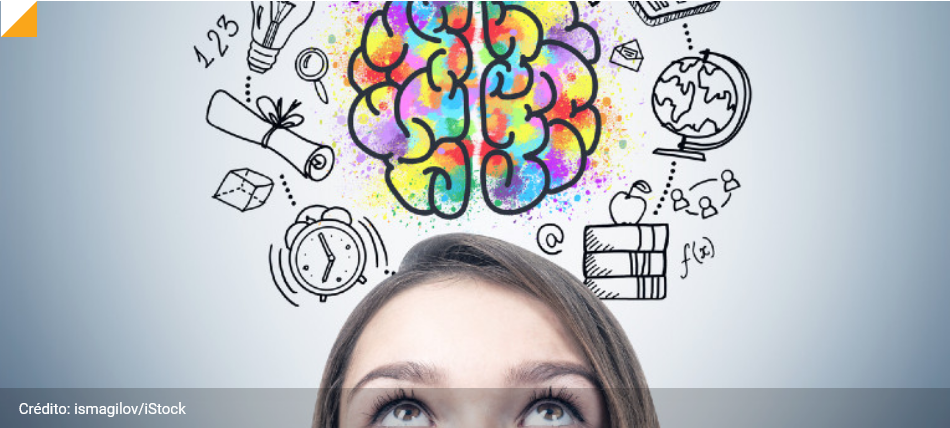 Os caminhos da aprendizagem: como o cérebro funciona?