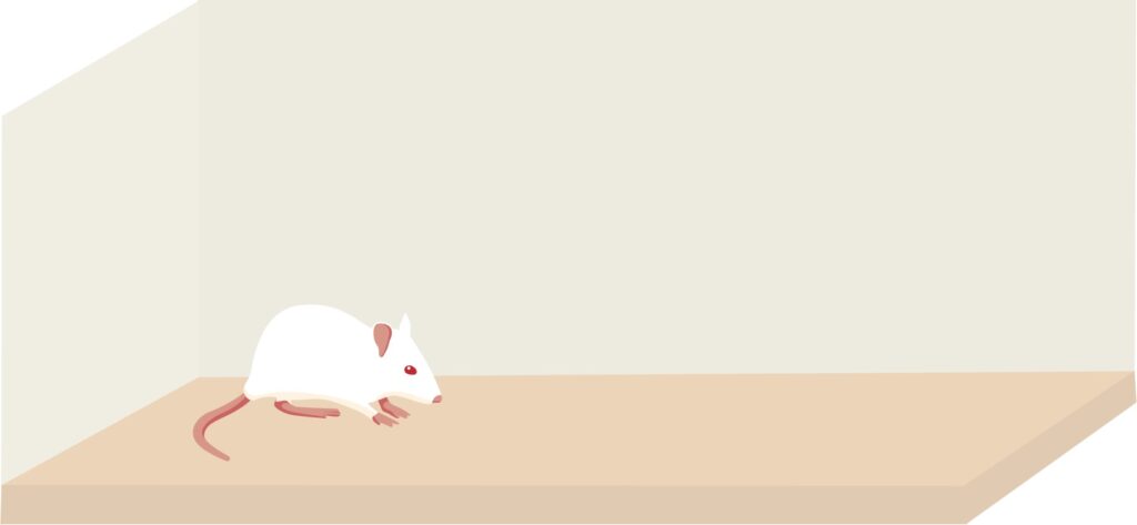 CONECTA: Isolamento social pode afetar a memória e induzir depressão