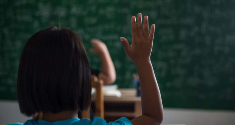 Conecta: Interseccionalidades das Desigualdades Raciais e Socioeconômicas